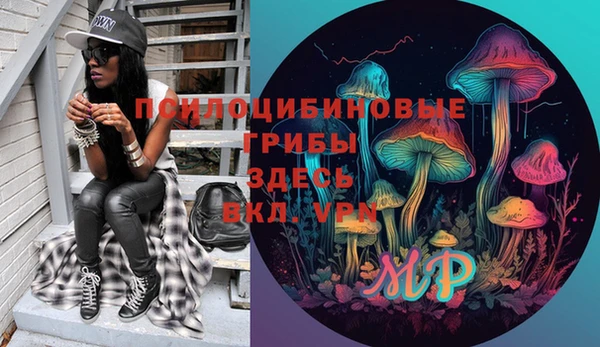 apvp Балахна