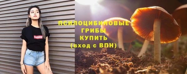 прущий лед Балабаново